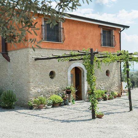 B&B Rifugio Tra Gli Ulivi Campagna Ngoại thất bức ảnh