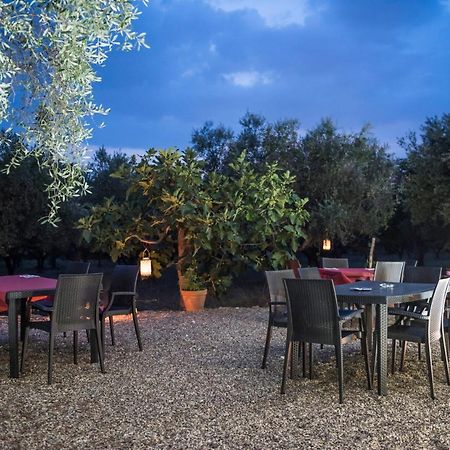 B&B Rifugio Tra Gli Ulivi Campagna Ngoại thất bức ảnh
