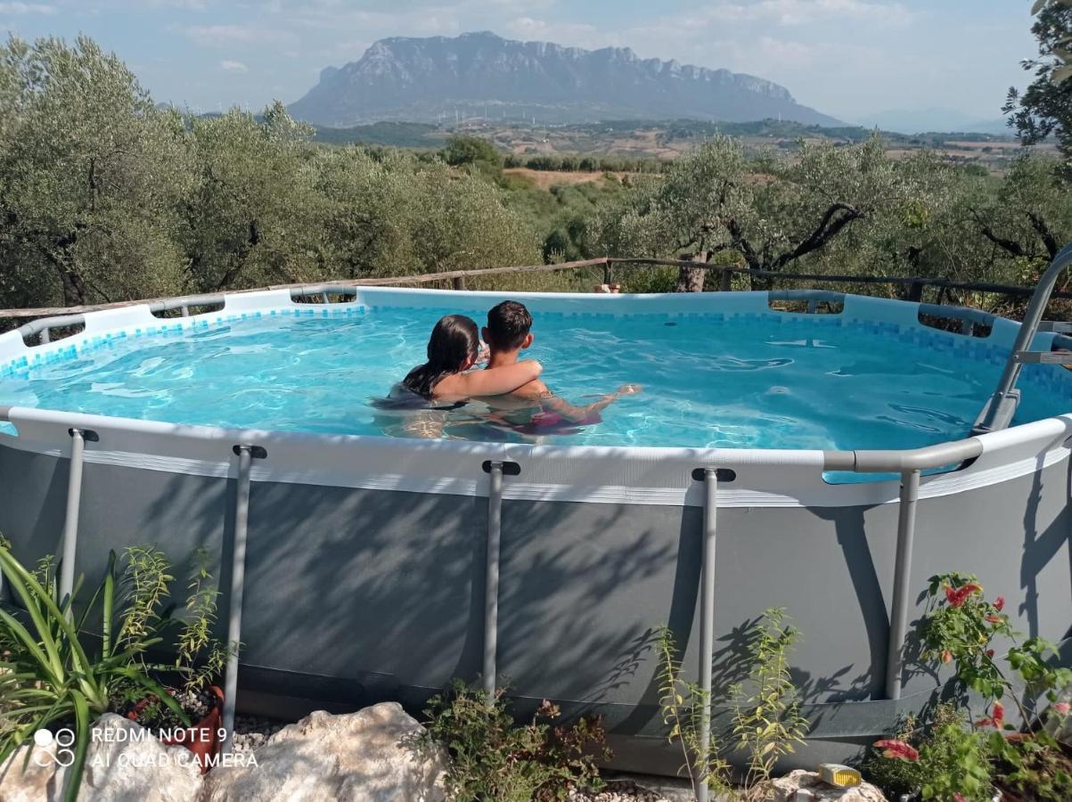 B&B Rifugio Tra Gli Ulivi Campagna Ngoại thất bức ảnh