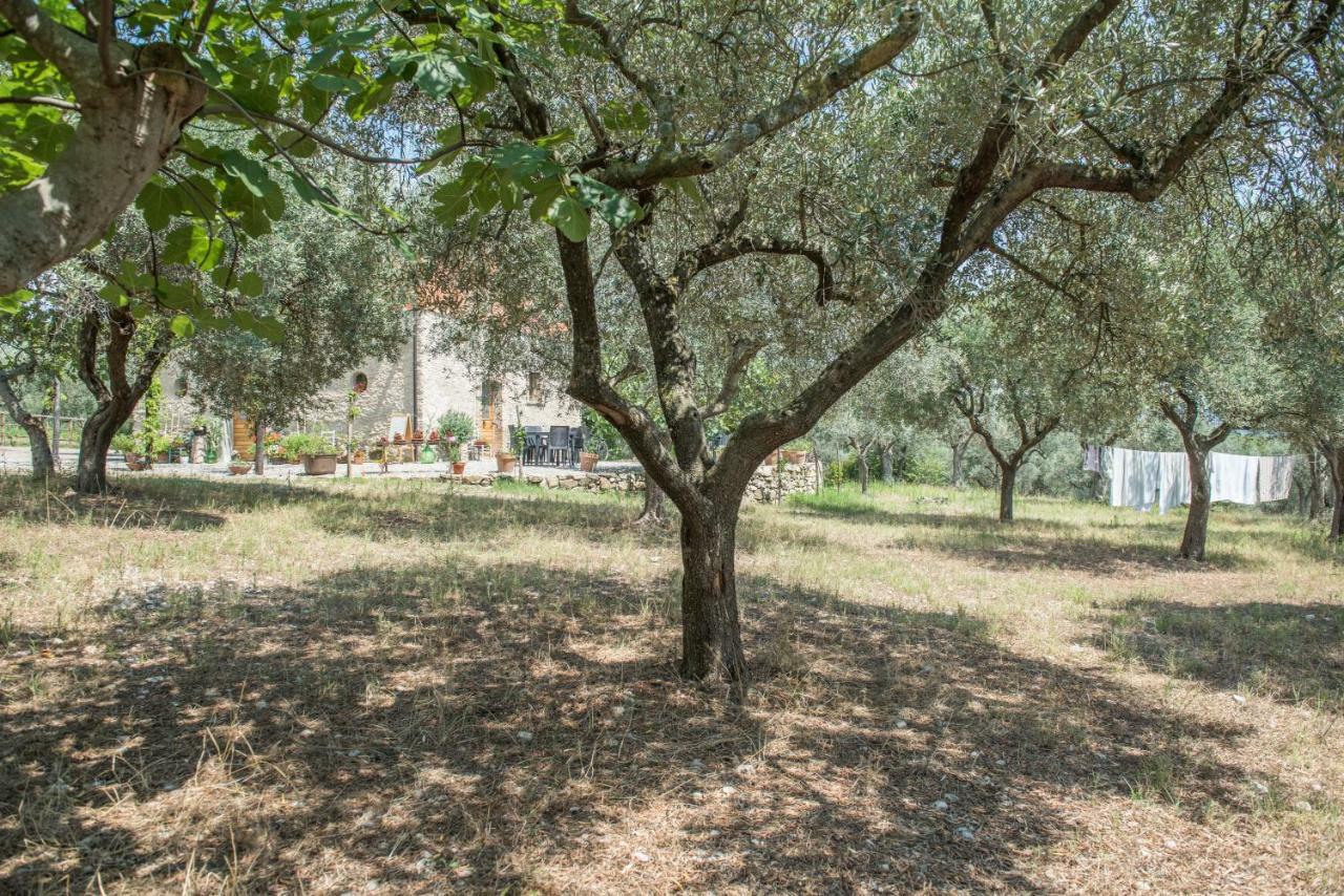 B&B Rifugio Tra Gli Ulivi Campagna Ngoại thất bức ảnh