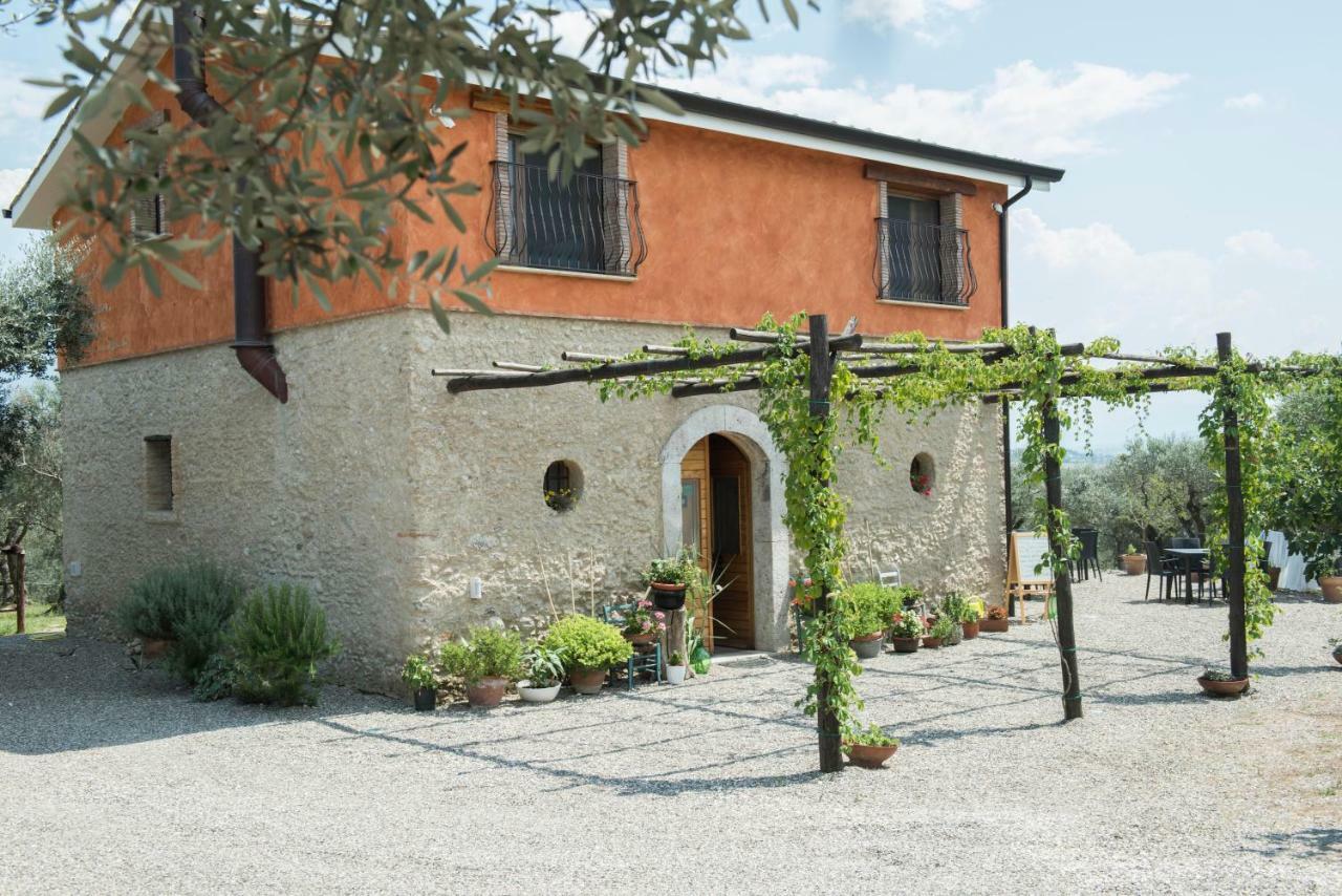 B&B Rifugio Tra Gli Ulivi Campagna Ngoại thất bức ảnh