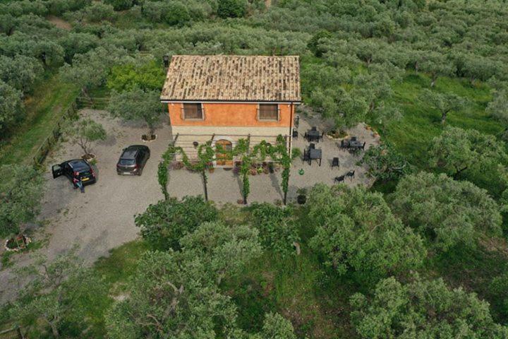 B&B Rifugio Tra Gli Ulivi Campagna Ngoại thất bức ảnh