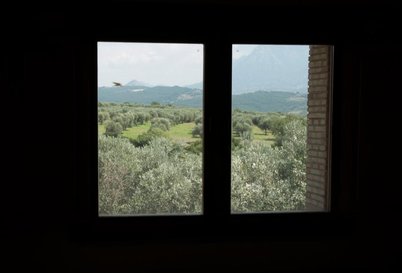 B&B Rifugio Tra Gli Ulivi Campagna Ngoại thất bức ảnh