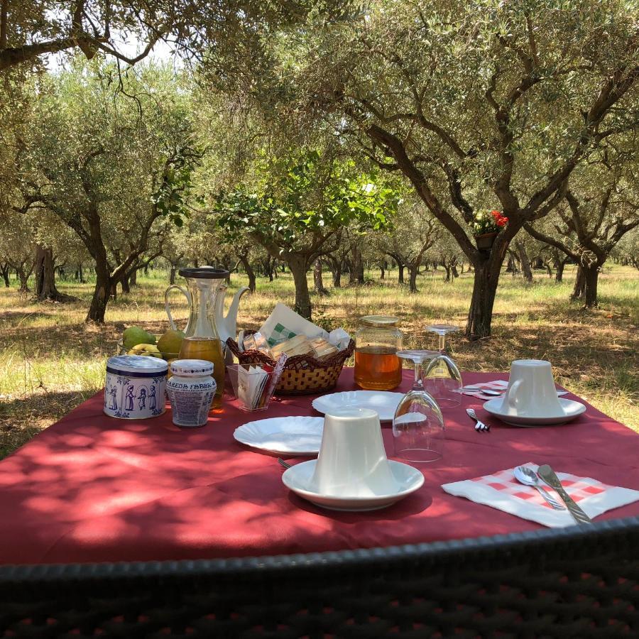 B&B Rifugio Tra Gli Ulivi Campagna Ngoại thất bức ảnh
